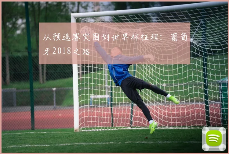 从预选赛突围到世界杯征程：葡萄牙2018之路