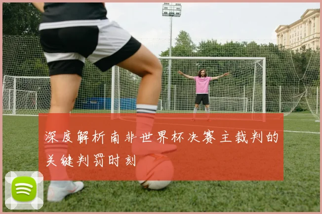深度解析南非世界杯决赛主裁判的关键判罚时刻