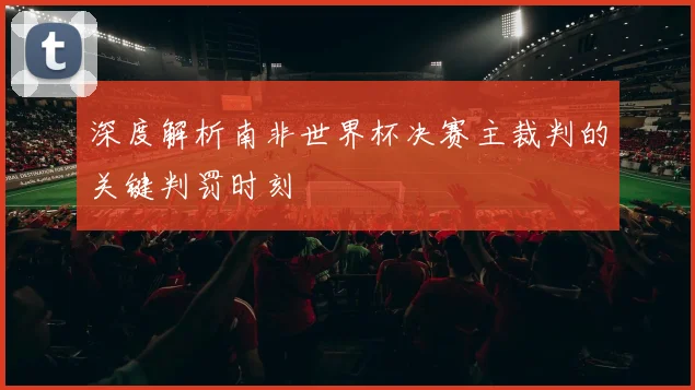 深度解析南非世界杯决赛主裁判的关键判罚时刻