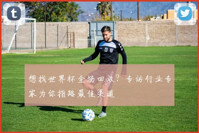 想找世界杯全场回放？专访行业专家为你指路最佳渠道