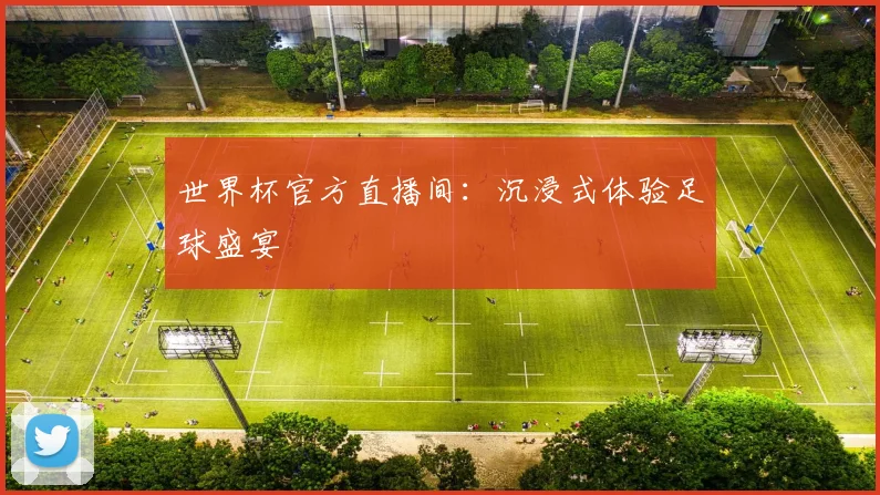 世界杯官方直播间：沉浸式体验足球盛宴
